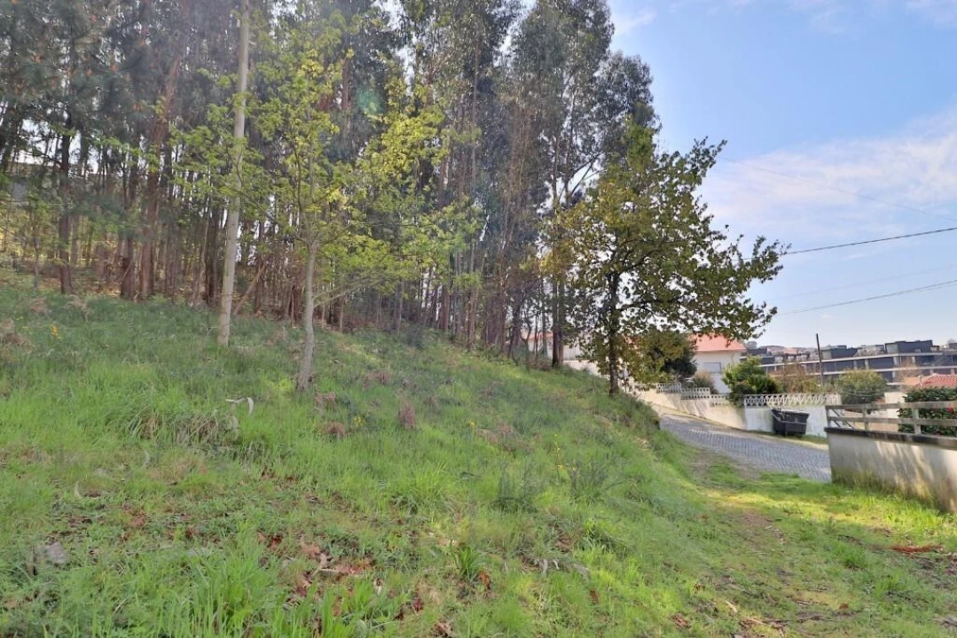 Terreno para Venda em Nogueira, Fraião e Lamaçães Foto 16