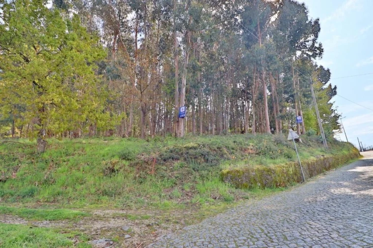 Terreno para Venda em Nogueira, Fraião e Lamaçães Foto 13