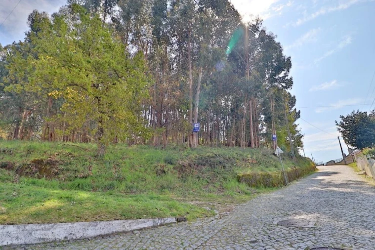 Terreno para Venda em Nogueira, Fraião e Lamaçães Foto 14