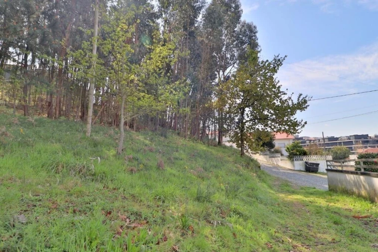 Terreno para Venda em Nogueira, Fraião e Lamaçães Foto 16