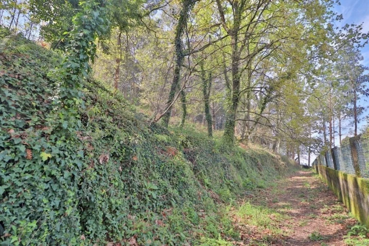 Terreno para Venda em Nogueira, Fraião e Lamaçães Foto 23