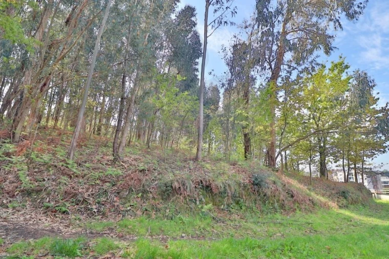 Terreno para Venda em Nogueira, Fraião e Lamaçães Foto 18