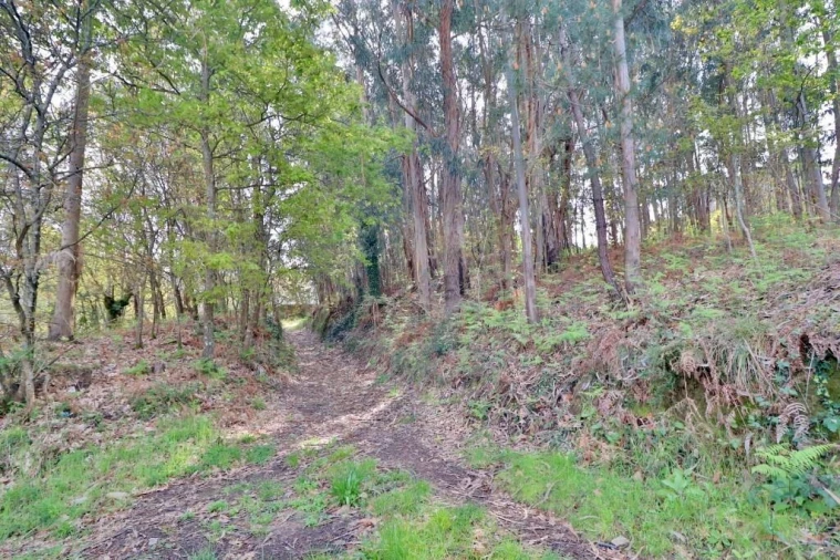 Terreno para Venda em Nogueira, Fraião e Lamaçães Foto 17