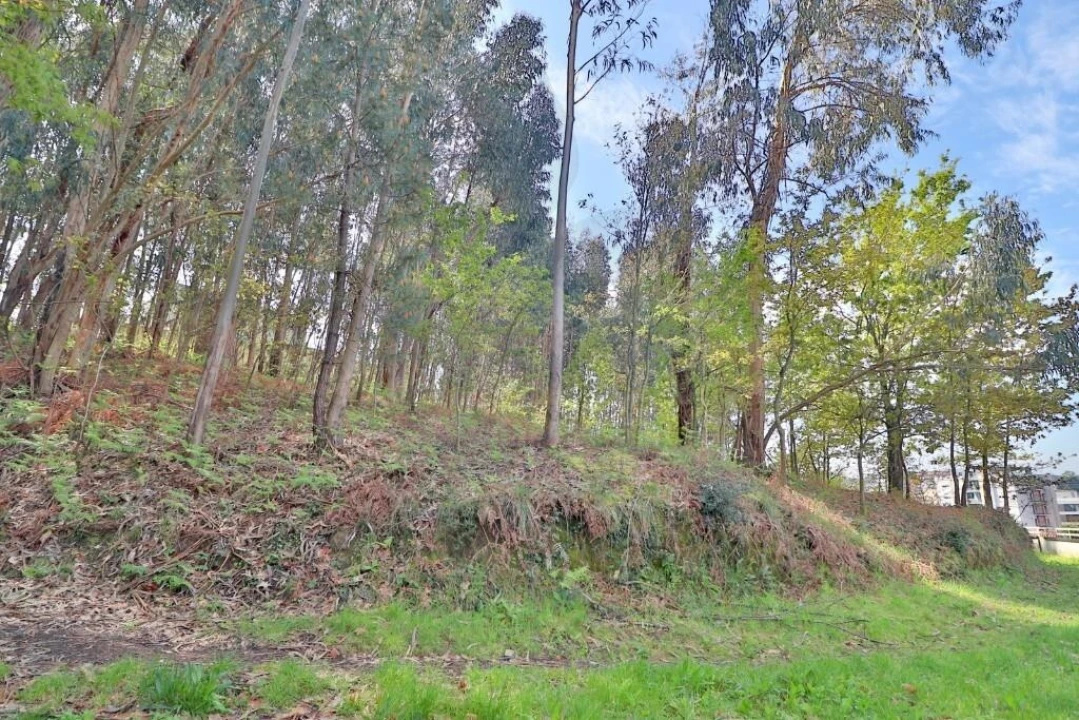 Terreno para Venda em Nogueira, Fraião e Lamaçães Foto 18