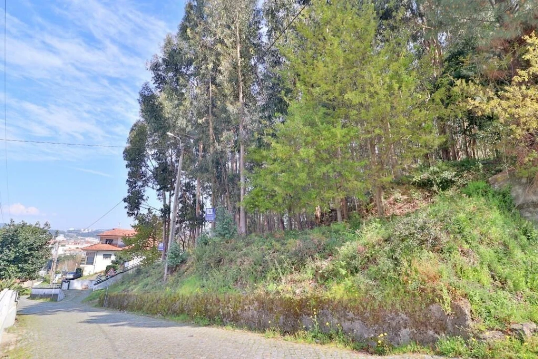 Terreno para Venda em Nogueira, Fraião e Lamaçães Foto 6