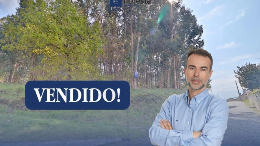 Terreno para Venda em Nogueira, Fraião e Lamaçães