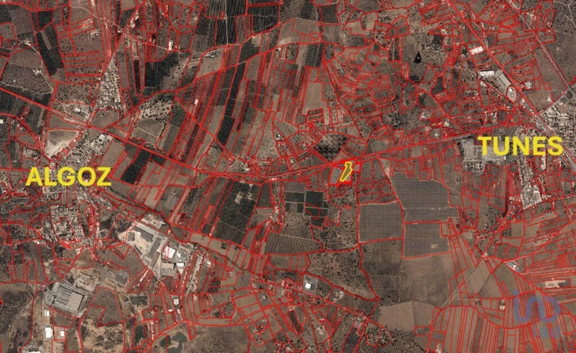 Terreno para Venda em Algoz e Tunes Foto 3