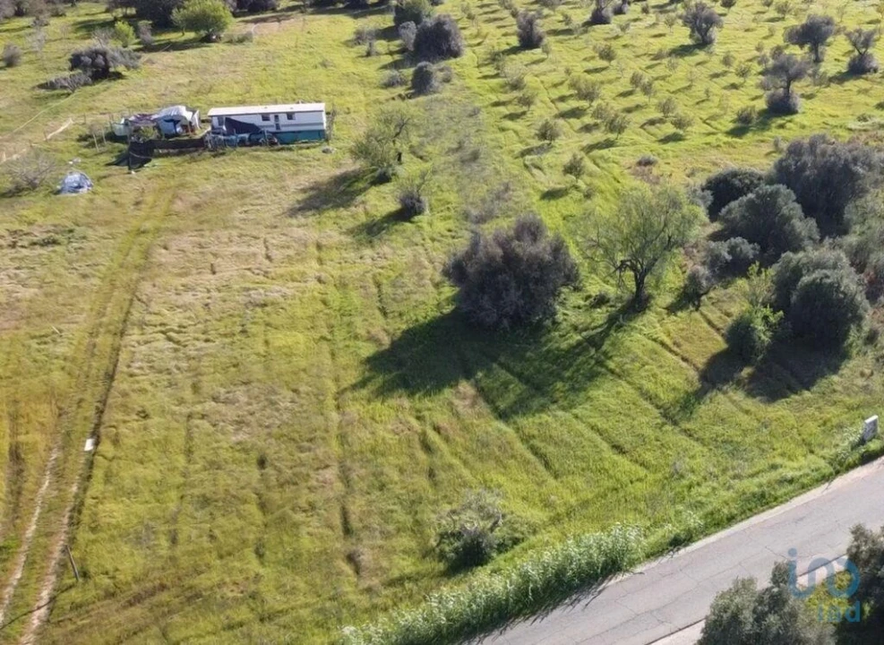 Terreno para Venda em Algoz e Tunes Foto 5