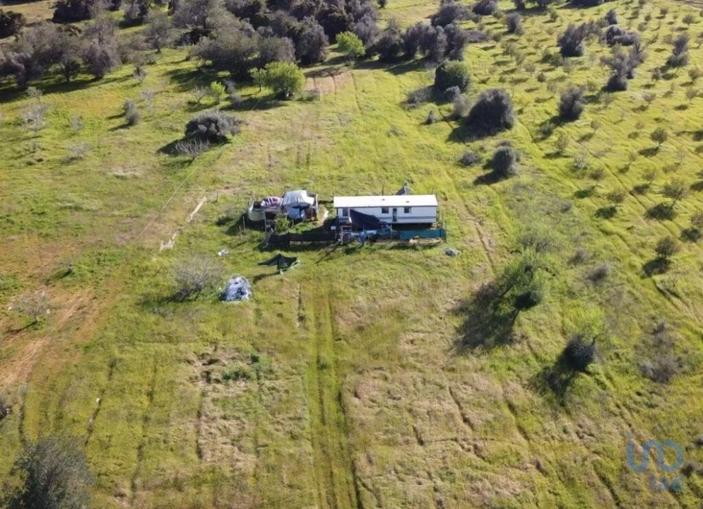 Terreno para Venda em Algoz e Tunes Foto 1