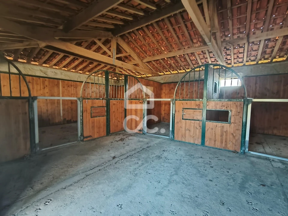 Quinta T8 para Venda em Bustelo Foto 33