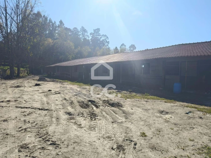 Quinta T8 para Venda em Bustelo Foto 50