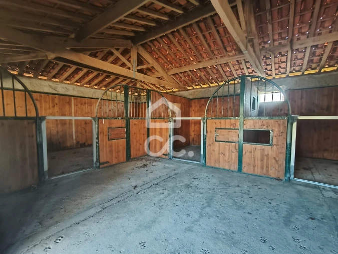 Quinta T8 para Venda em Bustelo Foto 31