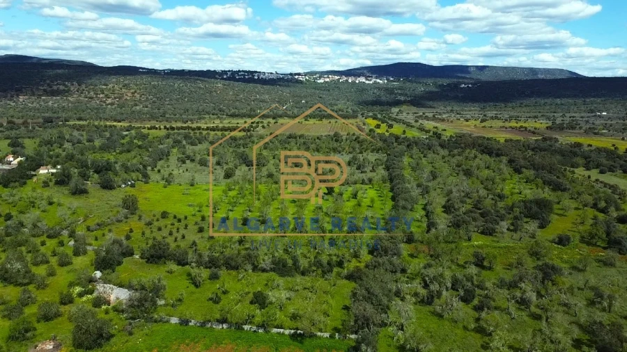 Negócio para Venda em Loule (São Clemente) Foto 30