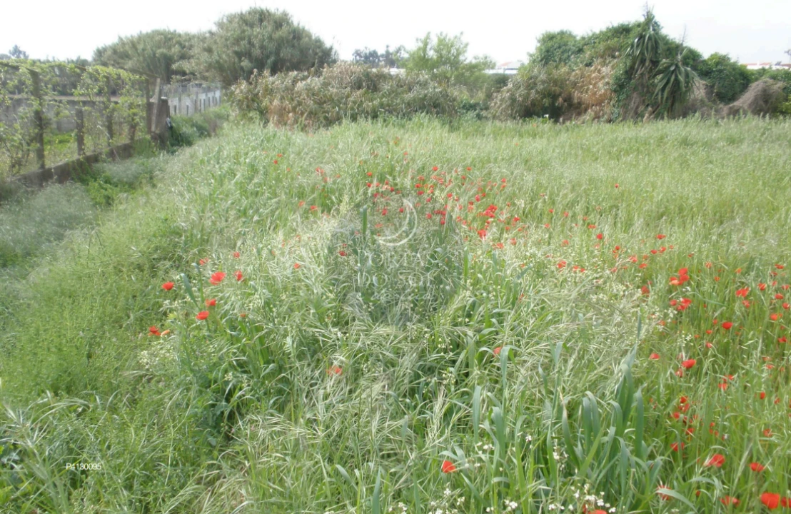 Terreno para Venda em Alcochete Foto 3