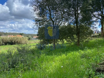 Terreno para Venda em Salir de Matos
