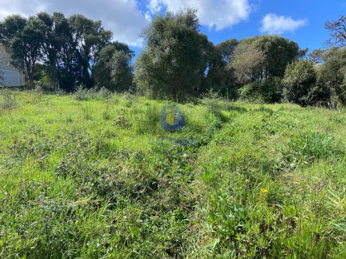 Terreno para Venda em Salir de Matos Foto 15
