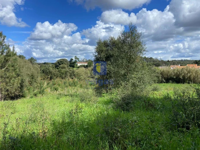 Terreno para Venda em Salir de Matos Foto 7