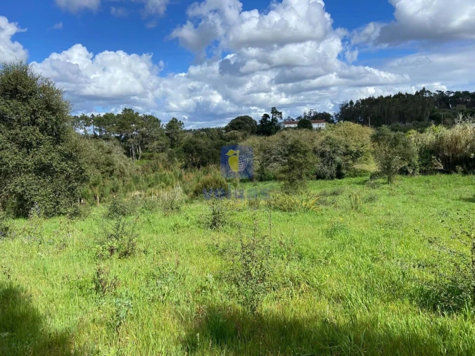 Terreno para Venda em Salir de Matos Foto 14