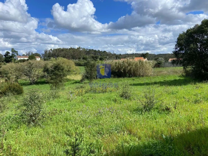 Terreno para Venda em Salir de Matos Foto 8