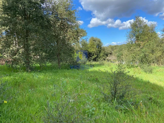 Terreno para Venda em Salir de Matos Foto 13