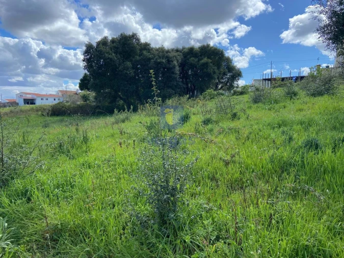 Terreno para Venda em Salir de Matos Foto 16