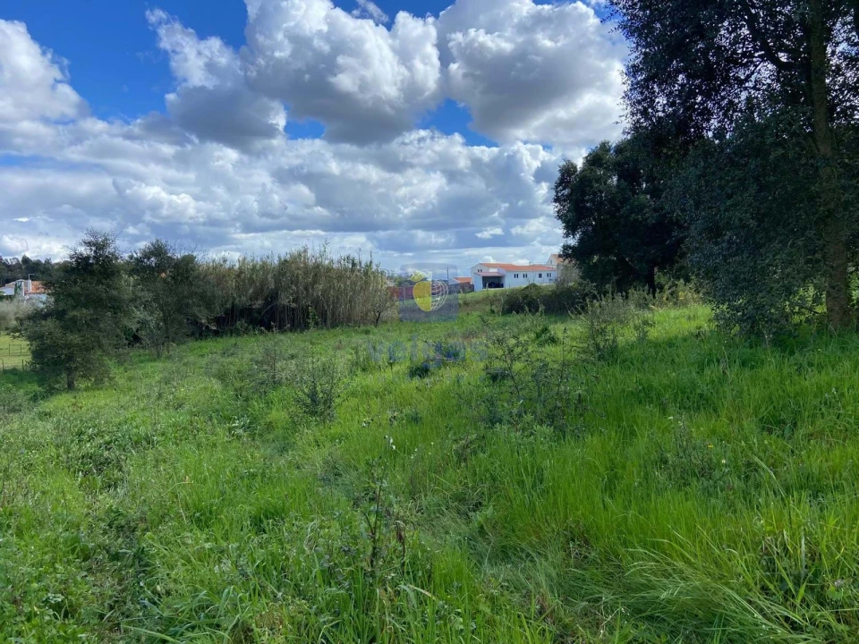 Terreno para Venda em Salir de Matos Foto 17