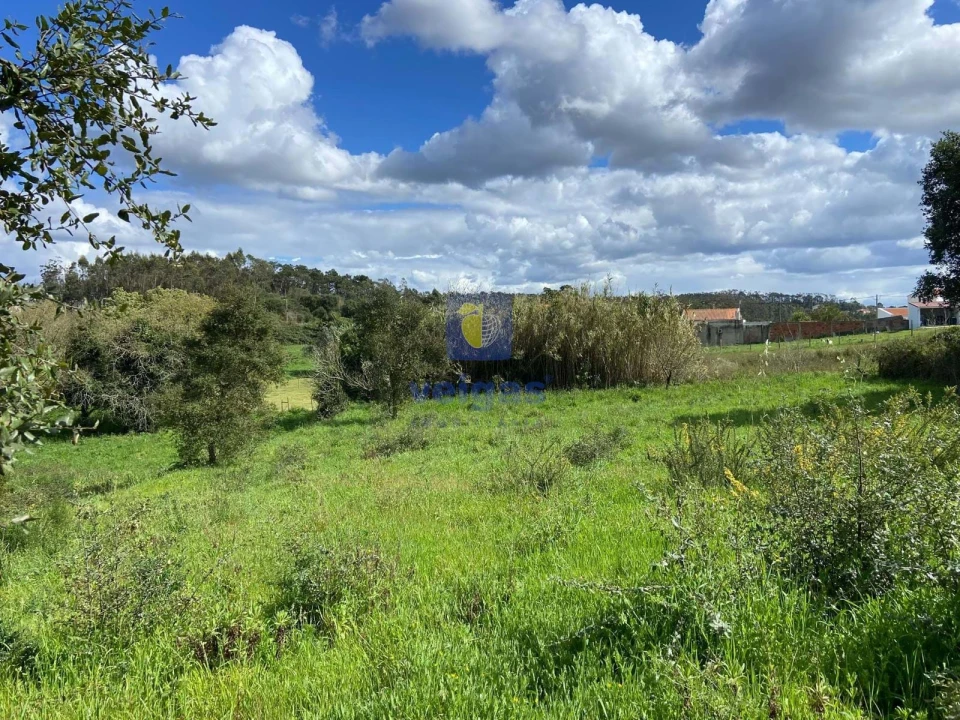 Terreno para Venda em Salir de Matos Foto 9
