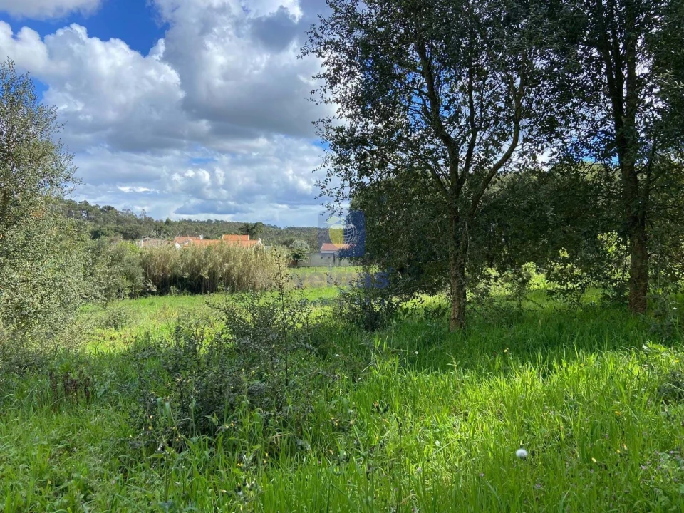 Terreno para Venda em Salir de Matos Foto 2