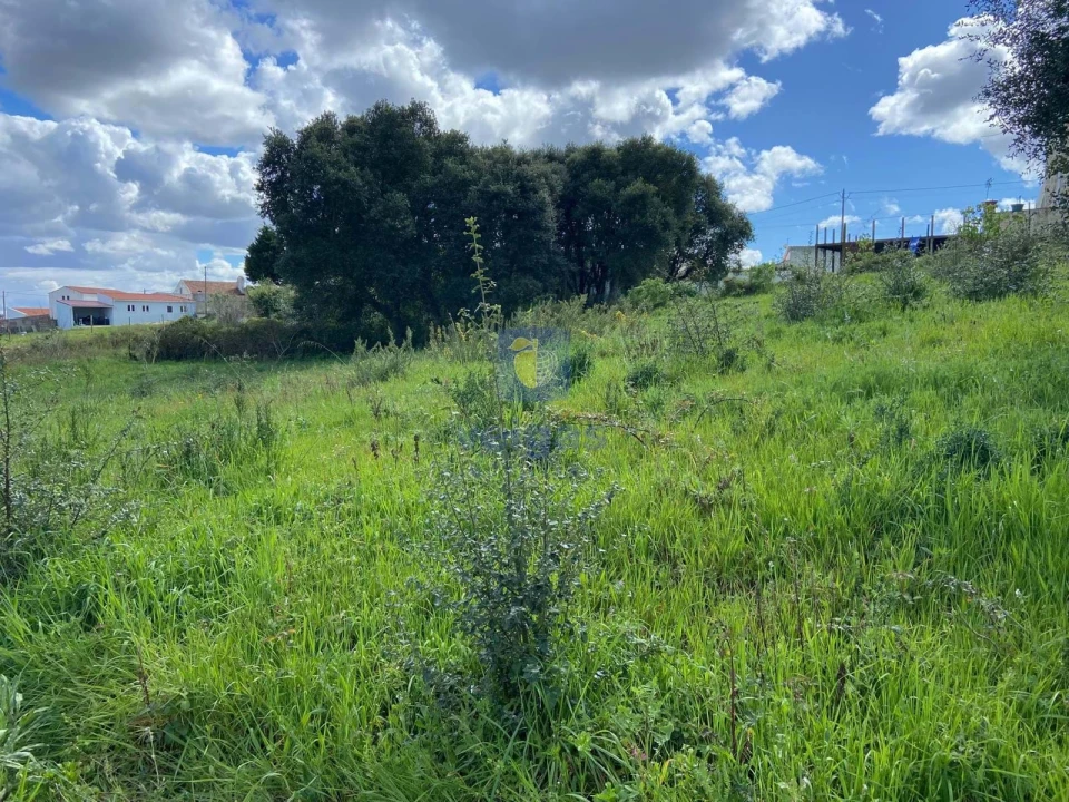 Terreno para Venda em Salir de Matos Foto 16
