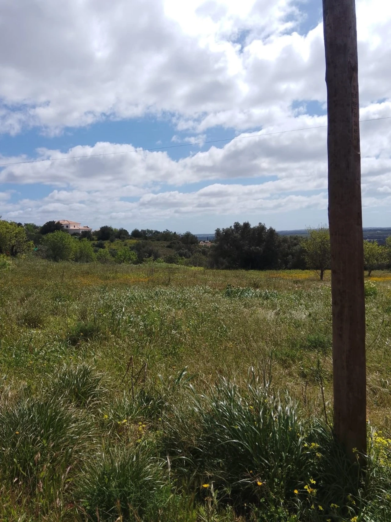 Terreno para Venda em Silves Foto 1