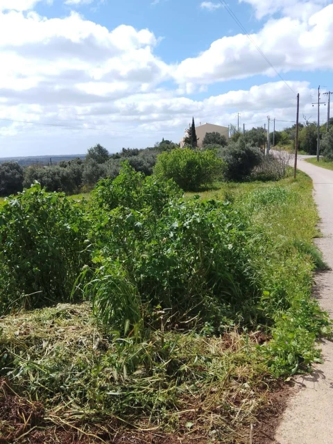 Terreno para Venda em Silves
