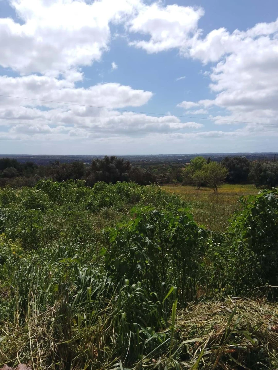 Terreno para Venda em Silves Foto 3