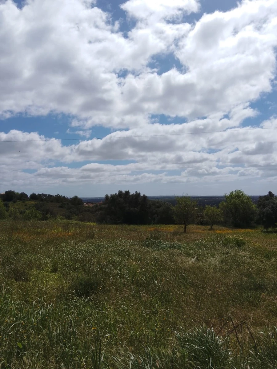 Terreno para Venda em Silves Foto 2
