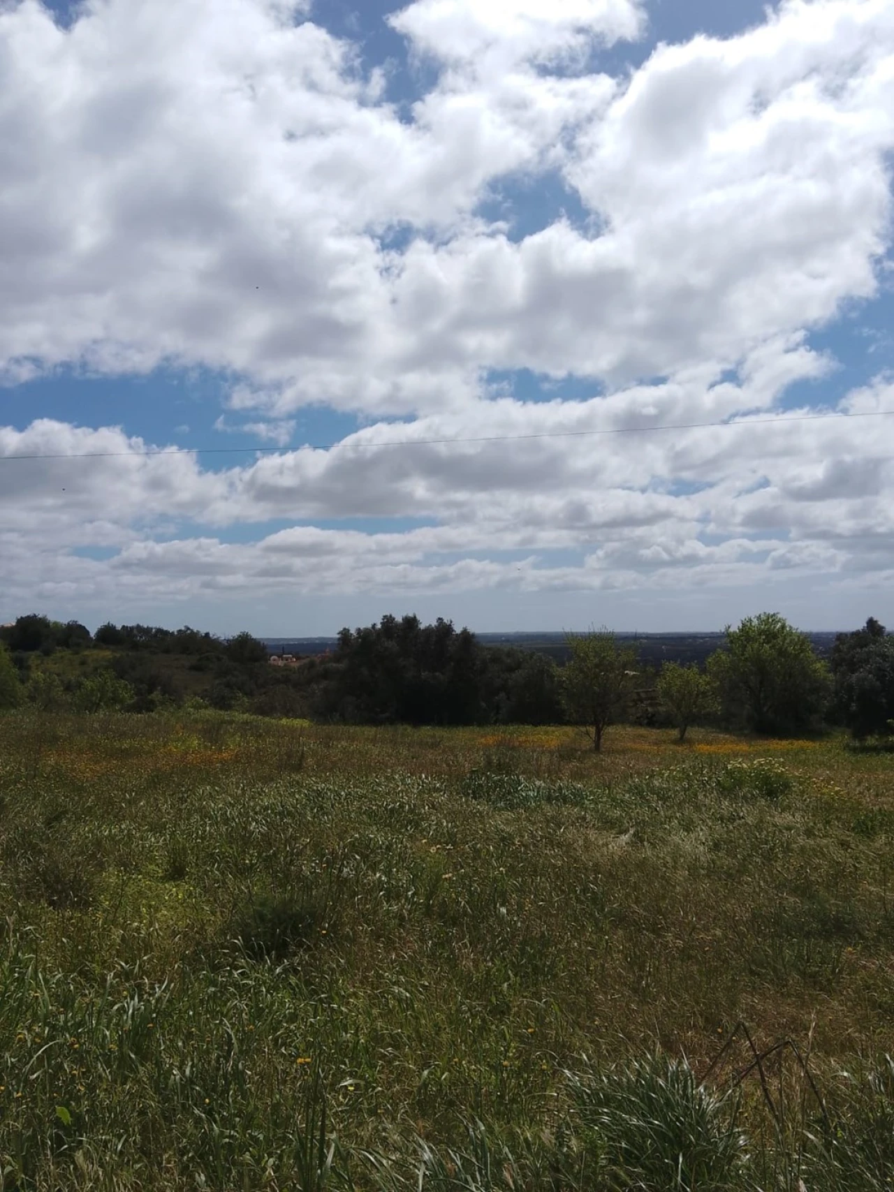 Terreno para Venda em Silves Foto 2