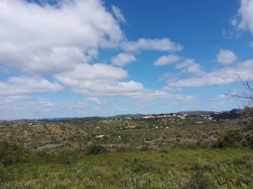Terreno para Venda em São Bartolomeu de Messines