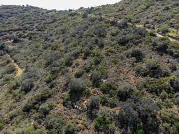 Terreno para Venda em Santa Barbara de Nexe
