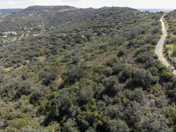 Terreno para Venda em Santa Barbara de Nexe
