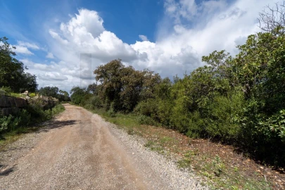 Terreno para Venda em Santa Barbara de Nexe
