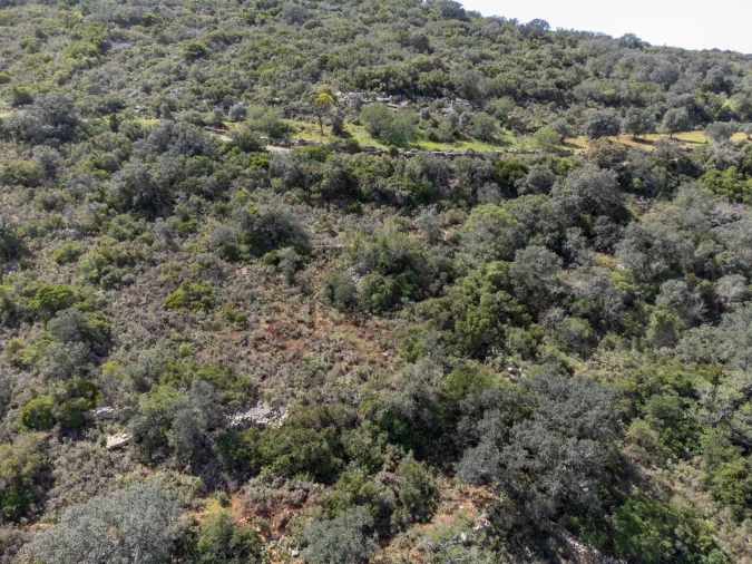 Terreno para Venda em Santa Barbara de Nexe Foto 9