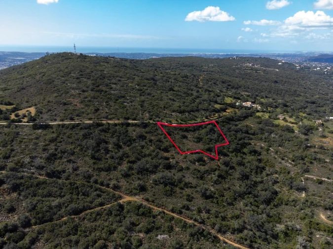Terreno para Venda em Santa Barbara de Nexe Foto 4