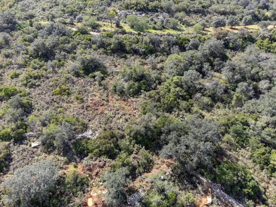 Terreno para Venda em Santa Barbara de Nexe Foto 8
