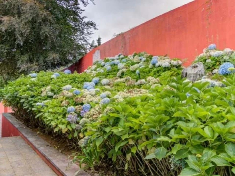 Quinta para Venda em São Roque Foto 28