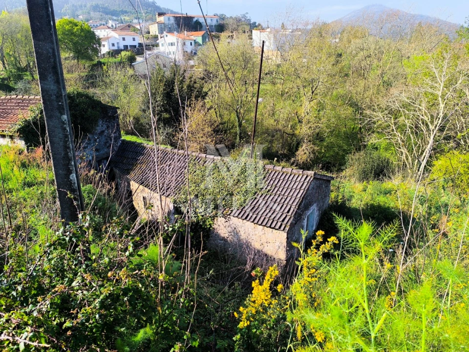 Terreno para Venda em Gondarem Foto 1