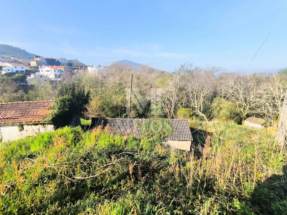 Terreno para Venda em Gondarem Foto 4