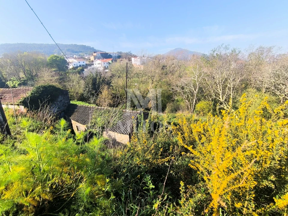 Terreno para Venda em Gondarem Foto 8