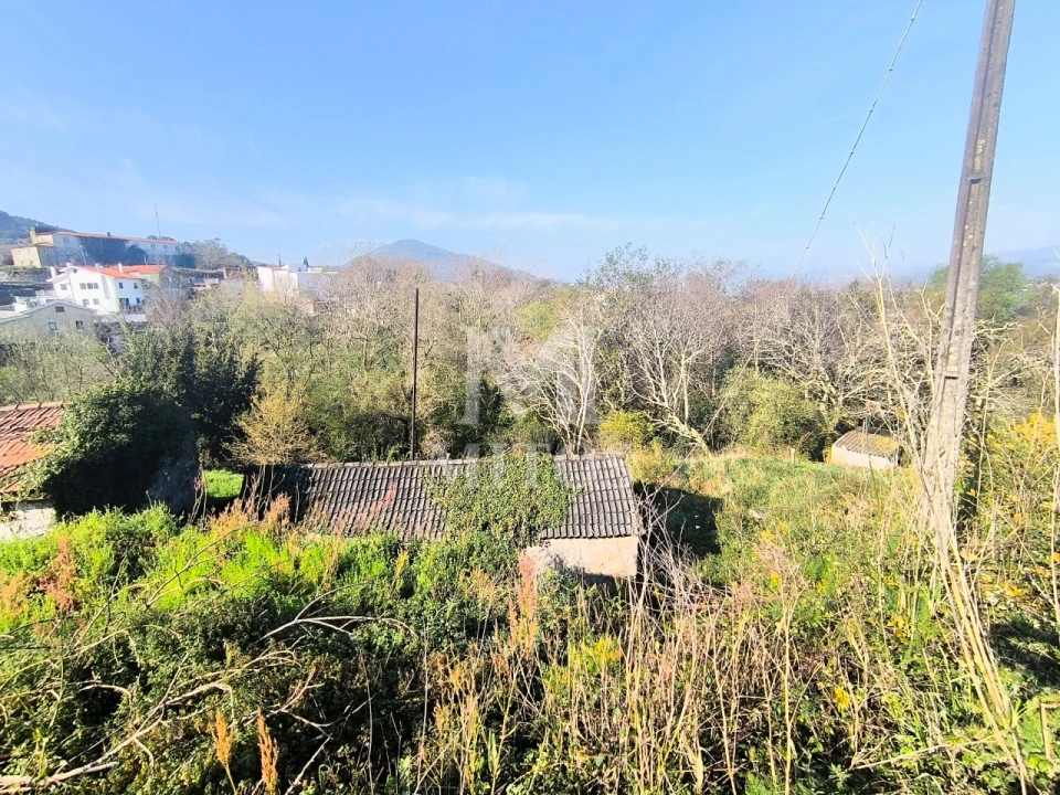 Terreno para Venda em Gondarem Foto 12