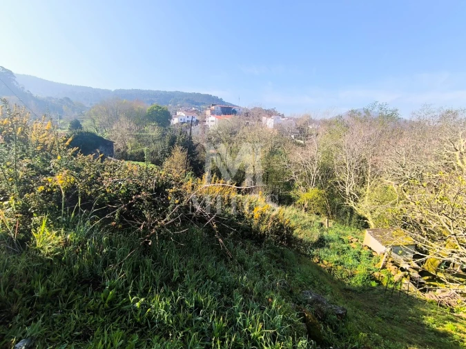 Terreno para Venda em Gondarem Foto 6