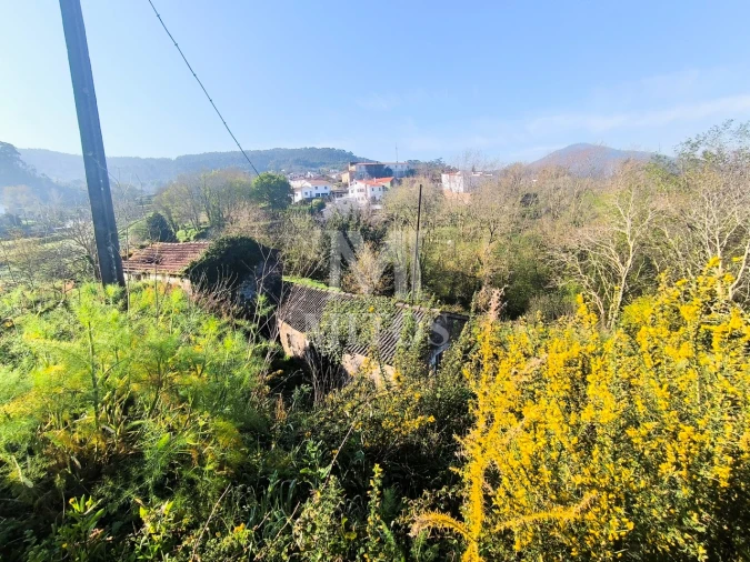 Terreno para Venda em Gondarem Foto 10