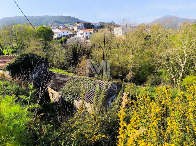 Terreno para Venda em Gondarem Foto 13