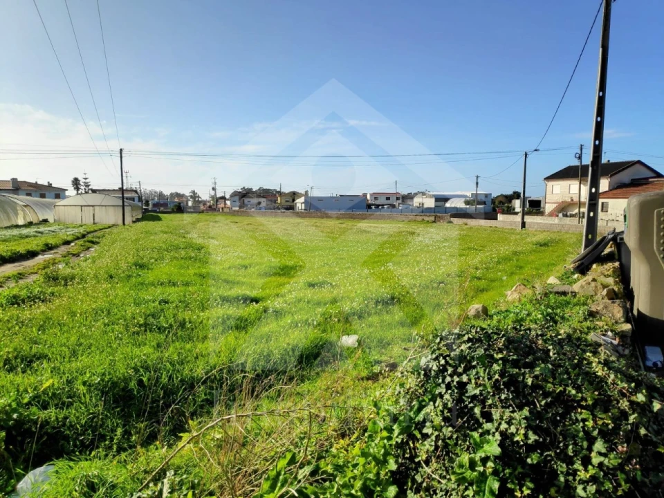 Terreno para Venda em Aver-O-Mar, Amorim e Terroso Foto 4